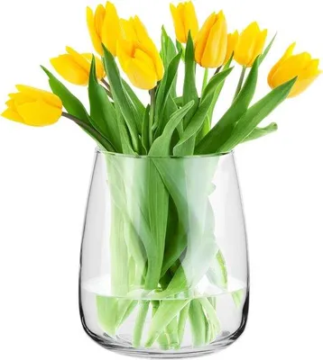 Produktbild von Famanu Glasvase Elegant und Minimalistisch - H 22,7 cm - Ø 19 cm