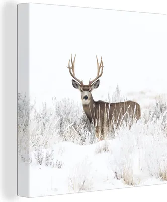 Produktbild von MuchoWow® - Leinwandbilder - Hirsche - Winter - Schnee - Tiere - Jahreszeiten - Weiß, Wandbild, Wanddeko Bilder Wohnzimmer, 90x90 cm