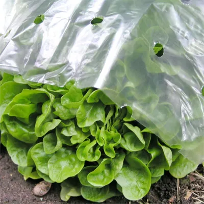 Produktbild von Noor Frühbeetfolie Pflanzfolie Frühbeet Folie 15x10 m; 090FRUEHBEET