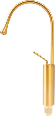 A gold-colored kitchen faucet is shown against a white background.