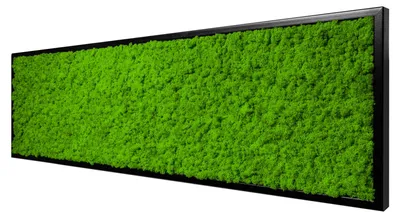 Produktbild von Moosbild Iceland Design (140x40, schwarz)
