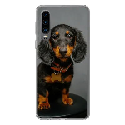 Produktbild von MuchoWow® Handyhülle Schutzhülle Hülle für Huawei P30 Studiofoto eines Dackelwelpen Silikon Softcase Handy Hülle - Kartenbesitzer