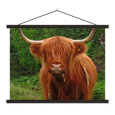Produktbild von MuchoWow® Textilposter Schottischer Highlander - Kuh - Gras 150x113 cm mit holzfarbenen Rahmen - Poster
