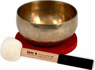 Zdjęcie produktu dla Misa śpiewająca Harmony 15 (Ø 15 cm)