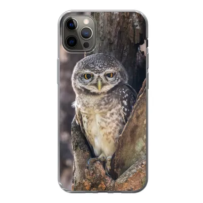 Produktbild von MuchoWow® Handyhülle Schutzhülle Hülle für iPhone 13 Pro Max Eule - Baum - Wald Silikon Softcase Handy Hülle - Mobiltelefon