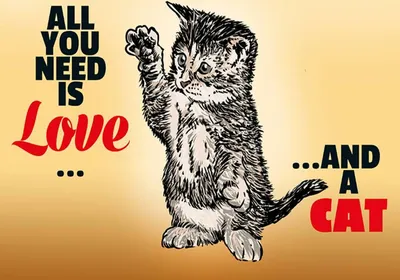 Produktbild von vianmo Holzschild 30x40 cm All you need is love and a cat