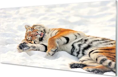 Produktbild von Glasbilder 120x60 Wandkunst Tiger Winter