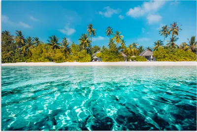 Produktbild von MuchoWow® Poster Blick auf einen Strand mit Palmen vom Wasser aus 90x60 cm - Schlafzimmer