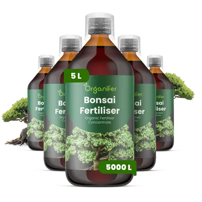 Produktbild von Bonsai Flüssigdünger 5x1L – 2-1-8 NPK – Flüssigdünger Für Bonsai & Zierpflanzen – Fördert Vitalität & Struktur – Organifer
