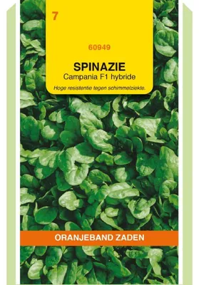 Productafbeelding van Oranjeband Spinazie Campania F1, 50g - 1 zakje zaden