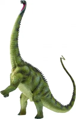 Immagine prodotto di Statuetta di dinosauro Diplodocus portatile XL Collecta