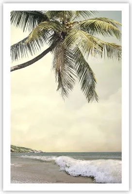 Produktbild von Poster - Poster ohne Rahmen - Palme Strand Insel - 61x91,5 cm - Wand Bild - Wanddeko - Wandbilder - Kunstposter - Wandposter - Bilder - Kunstdruck - Wanddekoration - Wandbild - P2XPA61x91-4154