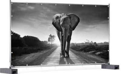 Produktbild von Wallario XXL Outdoor-Poster für Garten oder Balkon, Motiv Elefant bei Sonnenaufgang in Afrika schwarzweiß, in ca. 340 x 173 cm