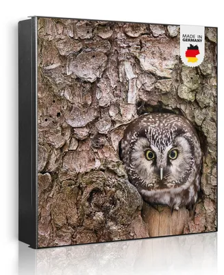 Produktbild von banjado Schlüsselkasten aus Metall, 30x30cm groß mit 32 Haken, als Magnettafel nutzbar, Korpus schwarz, Anschlag rechts, Eule [SKG1 10414]