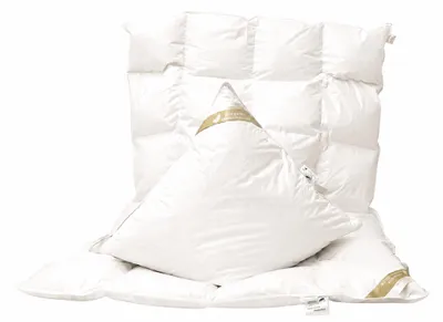 Produktbild von Betten Hofmann Set Daunenbett Daunendecke 4x6 135x200 cm 100% neue Daunen + Kissen 80x80 cm