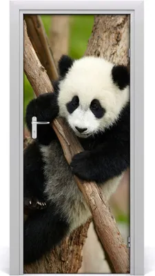 Produktbild von Tulup Türaufkleber 85x205 cm Dekorative Aufkleber Selbstklebend Wasserdichte Tapete Abnehmbar Schlafzimmer Wohnzimmer Wohnkultur - Panda in einem Baum