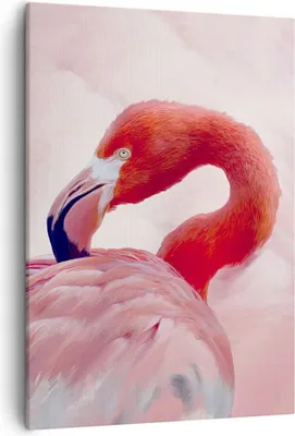 Produktbild von Bild auf Leinwand - Leinwandbild - Einteilig - Flamingo Vogel Porträt - 50x70cm - Wand Bild - Wanddeko - Wandbilder - Leinwanddruck - Wanddekoration - Leinwand bilder - Wandbild - PA50x70-4984
