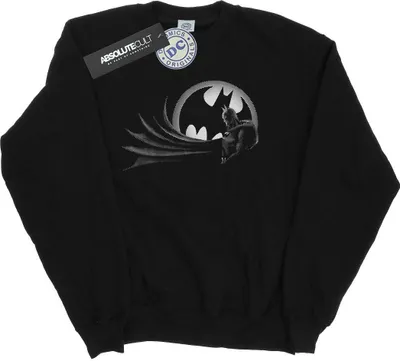 Produktbild von DC Comics - Sweatshirt für Herren BI19986 (M) (Schwarz)