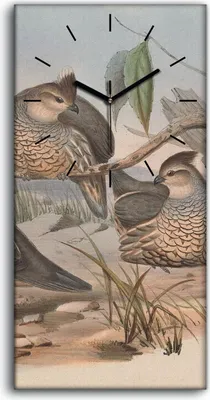 Produktbild von Wohnzimmer-Bild Leinwand Uhr Geräuschlos 30x60 Vögel Wild Tiere Zeichnung Kunst - schwarze Hände