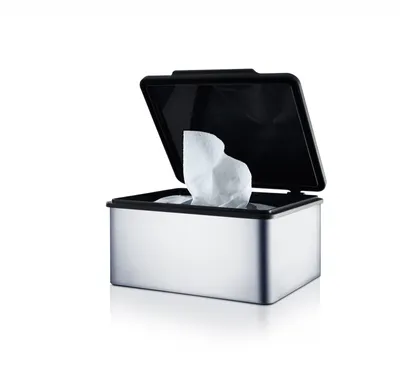 Obrázek produktu pro BLOMUS nerezový box na vlhčené ubrousky MENOTO matný box na vlhčené ubrousky 68821