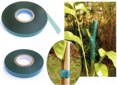Produktbild von PROREGAL Gartenband, Klebeband zum Binden von Pflanzen 12mmx45m