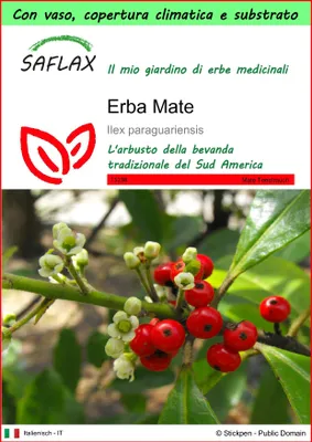 Immagine prodotto di SAFLAX Garden to go - Erba Mate - 10 semi - Ilex