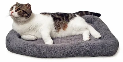 Immagine prodotto di Omgoods - Cuscino morbido per cani e gatti, grigio, 45 x 60 cm