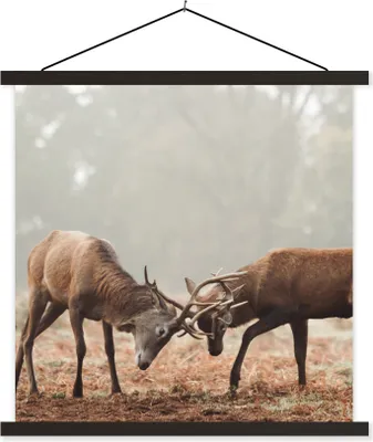 Produktbild von MuchoWow® Textilposter Hirsche - Geweihe - Wald - Gras 60x60 cm mit schwarzem Rahmen - Posteraufhänger
