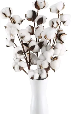 Produktbild von 3pcs Baumwolle Zweig 10 Köpfe Natürlich Getrocknete Blumen Künstliche Dekoblumen Weiss Kunstblumen Gefälschte Unechte Blumen