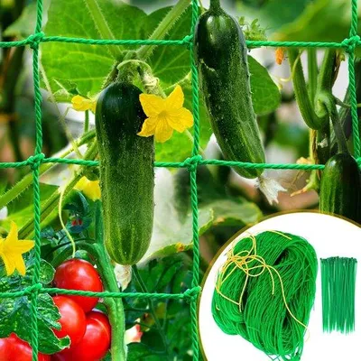 Immagine prodotto di Rete da arrampicata di alta qualità per piante da giardino - Ecologica e versatile - 1 pezzo - Nylon