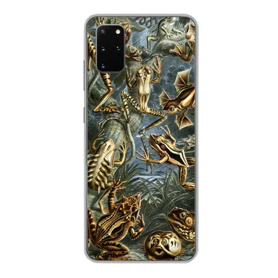Produktbild von MuchoWow® Handyhülle Schutzhülle Hülle für Samsung Galaxy S20 Plus Batrachia - Haeckel - Alte Meister Silikon Softcase Handy Hülle - Hartschale