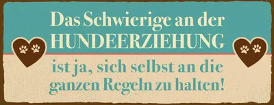 Produktbild von vianmo Blechschild 10x27 cm Hundeerziehungsregeln