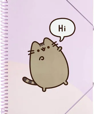 Produktbild von Pusheen, Ringbuch A4 mit Gummi 30 Hüllen Transparent Dokumentenmappe Ordner, Rosa