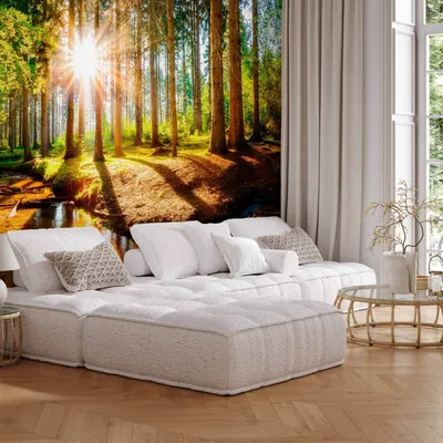 Produktbild von Vlies Fototapete - Marvelous Forest 150x105 cm Landschaften c-B-0267-a-a
