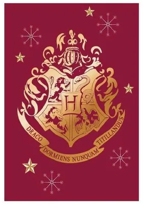 Produktbild von Unyqoos® Harry Potter Fleecedecke – Kuscheldecke aus weichem Polyester, 100 x 140 cm