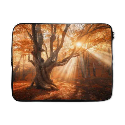 Produktbild von MuchoWow® Laptop Hülle 17 Zoll Laptoptasche Baum - Natur - Herbst - Zipper - Schutzabdeckung
