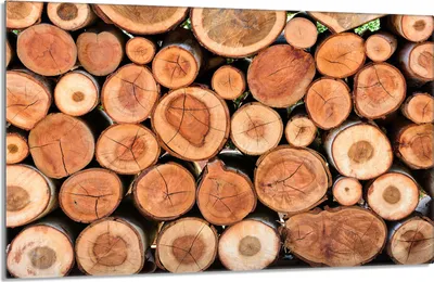 Produktbild von Glas Herdschutzplatte 80x52 Holz