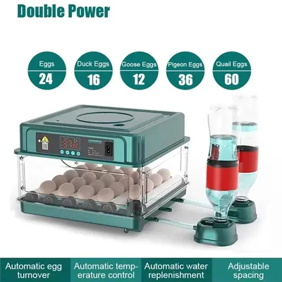 Obrázok produktu pre Automatický inkubátor – 24 vajec – Plne automatický – LED displej – Regulácia teploty a vlhkosti – Vhodný pre slepice, kačice a husi – Elektrický inkubátor na 24 vajec