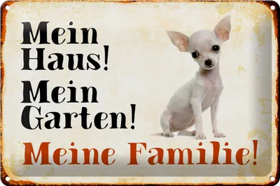 Produktbild von Blechschild Hund 30x20cm Chihuahua mein Haus Garten Familie