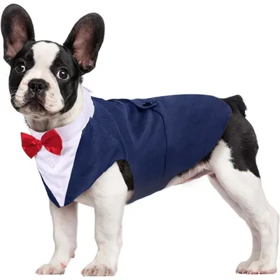 Productafbeelding van Honden smoking set met bandana, blauw, maten S-XXL