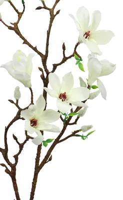 Produktbild von Magnolienzweig Kunstblume Deko Seidenblumen Frühlingsdeko Hochzeit Bouquet