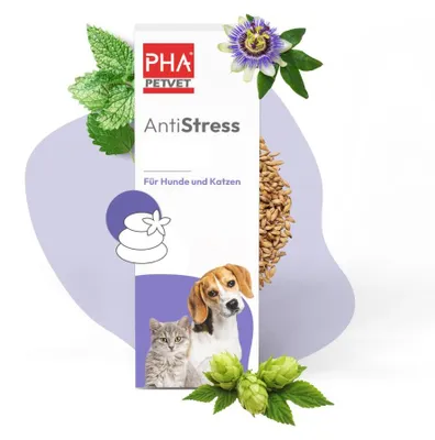 Produktbild von PHA AntiStress für Hunde u. Katzen 30 ml