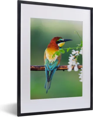 Produktbild von MuchoWow® Gerahmtes Poster Vogel - Bienenfresser - Blumen 30x40 cm - Poster mit Schwarzem Bilderrahmen Wandposter Rahmen Foto Bilder - Wandposter Schlafzimmer