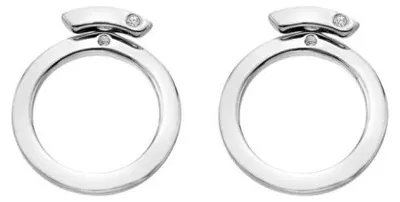 Immagine prodotto di Orecchini in argento di design, modello DE886