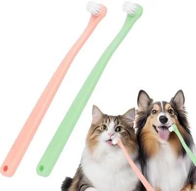 Immagine prodotto di Set Azomor con 2 spazzolini morbidi per cani di piccola taglia e gatti
