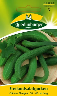 Produktbild von Freilandsalatgurke Chinese Slangen | Freilandgurkensamen von Quedlinburger