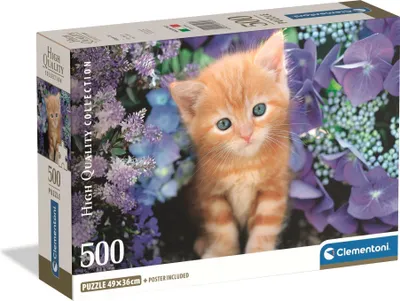 Produktbild von 500 Stück CB HQC Ingwer Cat