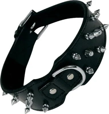 Produktbild von Hundehalsband Gloria Schwarz Spieße 55 cm