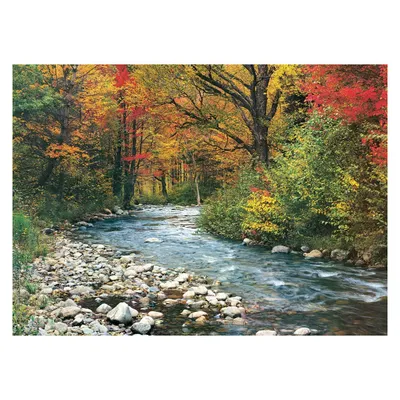 Image de Ruisseau dans la forêt 1000 pièces
