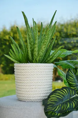 Obrázek produktu pro Kerd Eko Natural, kryt na květináč, bílý, boho styl, bavlněná šňůrka